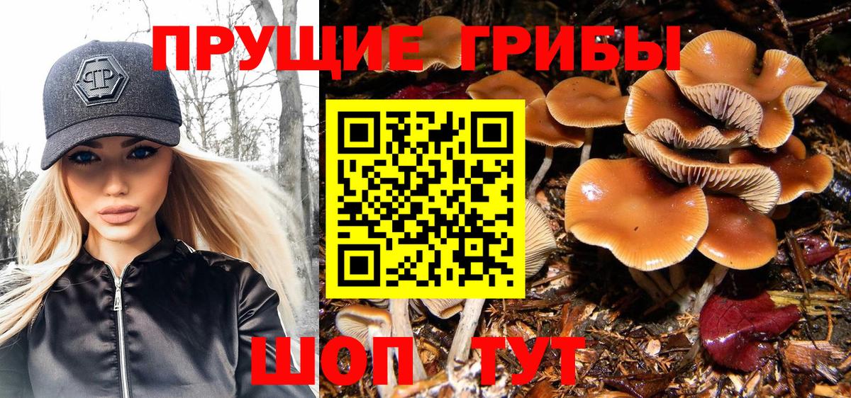 Галлюциногенные грибы ЛСД  Вход с VPN  Галлюциногенные грибы мицелий  Буйнакск 